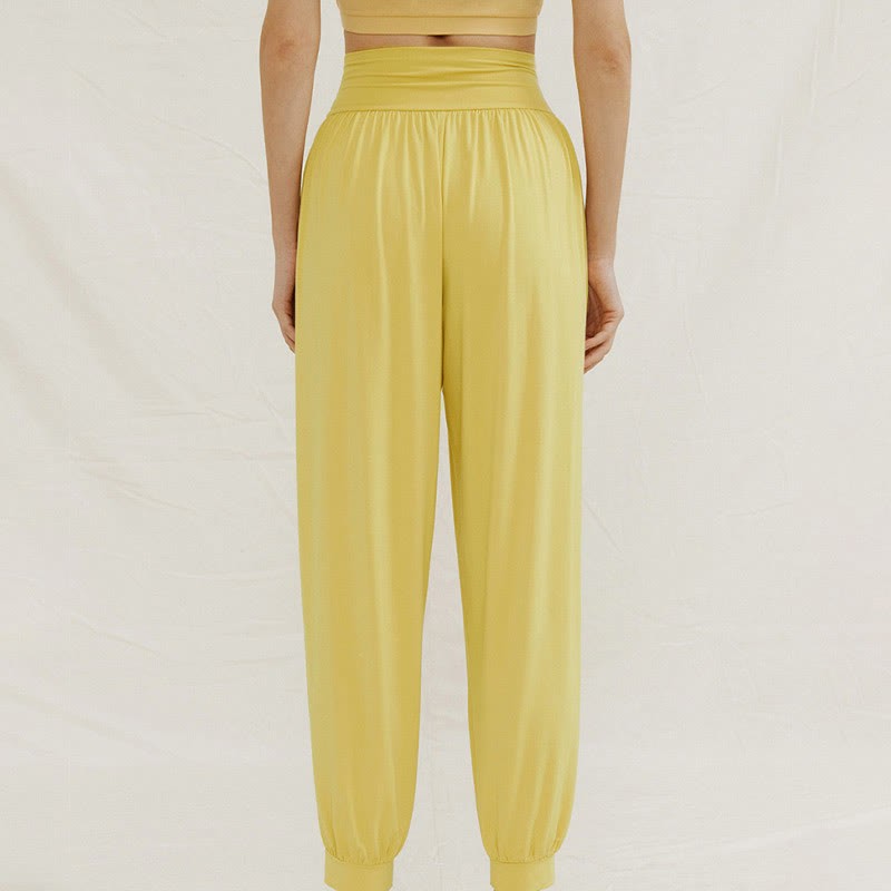 Casual Plain High Waist Tummy Control Women's Leica Harem Pants With Pockets