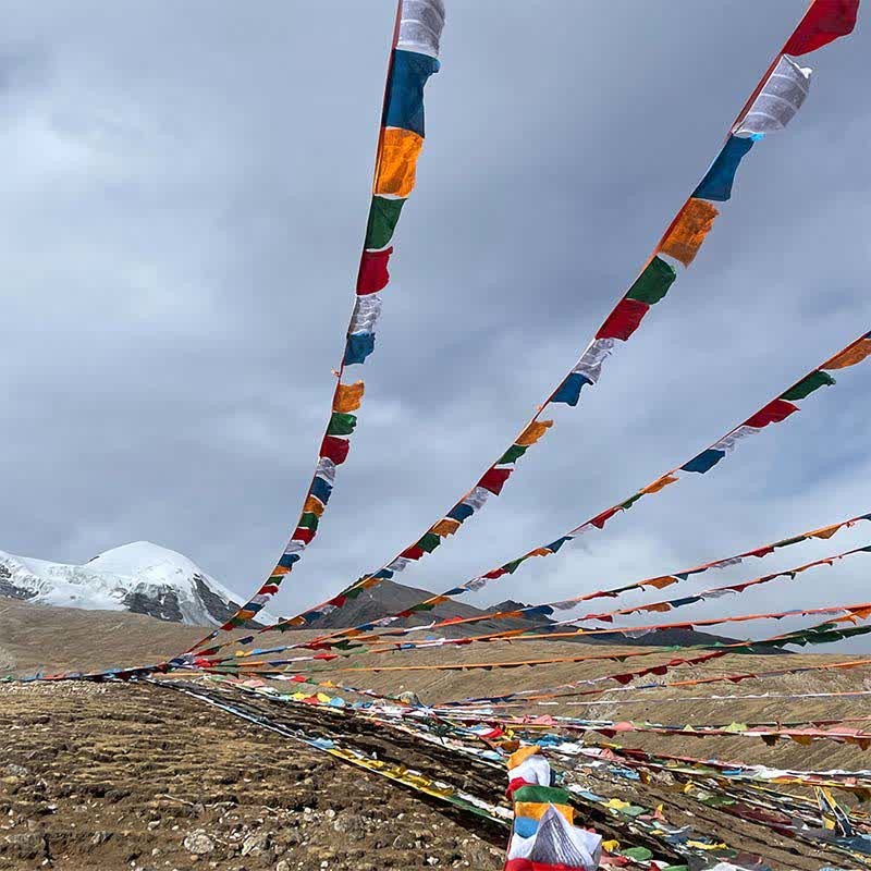 Tibetan 5 Colors Windhorse Auspicious Outdoor 25 Pcs Prayer Flag