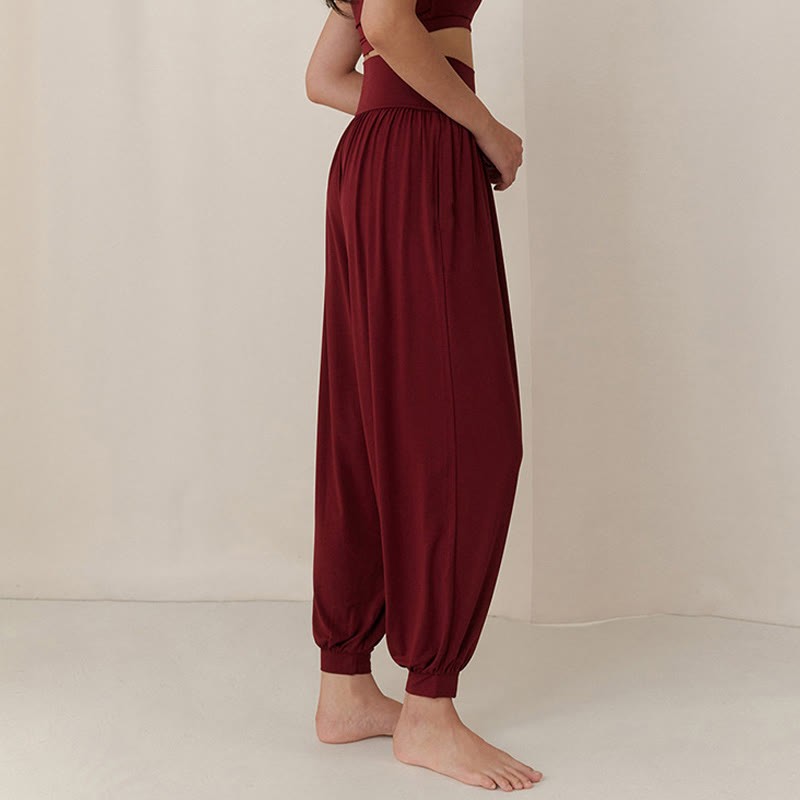 Casual Plain High Waist Tummy Control Women's Leica Harem Pants With Pockets