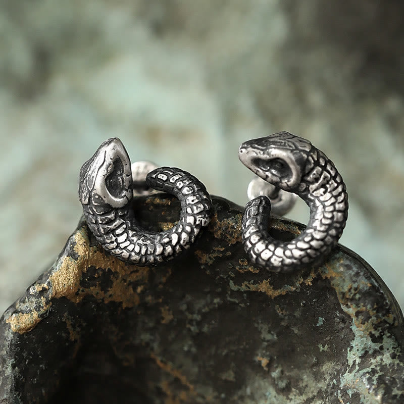 999 Sterling Silver Snake Texture Year Of The Snake Protection Balance Earrings