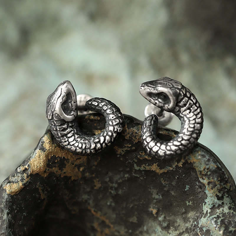 999 Sterling Silver Snake Texture Year Of The Snake Protection Balance Earrings