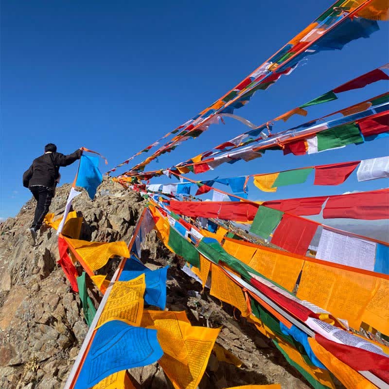 Tibetan 5 Colors Windhorse Auspicious Outdoor 25 Pcs Prayer Flag