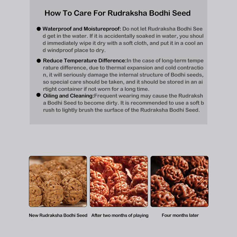 Tibet Rudraksha Bodhi Seed Wealth Auspiciousness Bracelet