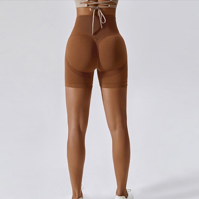 Women Seamless Sports Fitness High Waist Yoga Workout Shorts