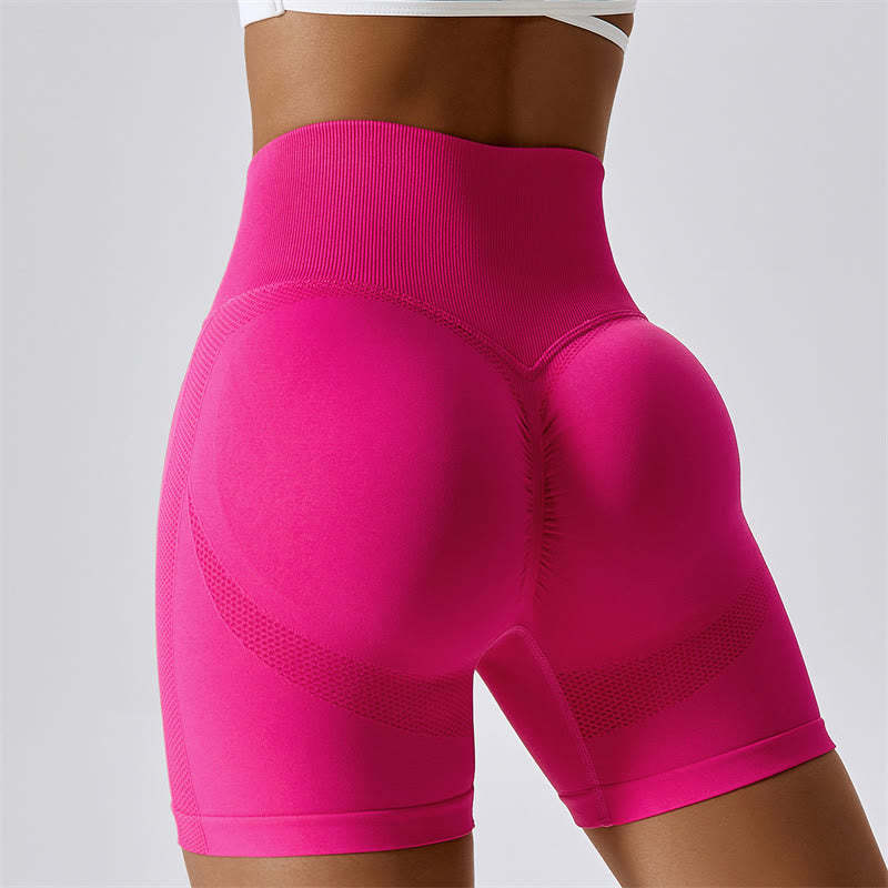 Women Seamless Sports Fitness High Waist Yoga Workout Shorts