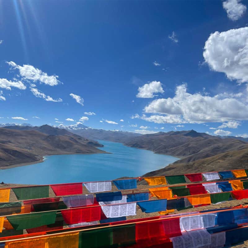 Tibetan 5 Colors Windhorse Auspicious Outdoor 25 Pcs Prayer Flag