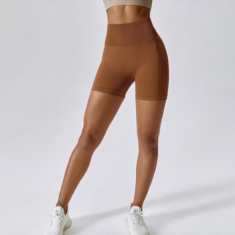 Women Seamless Sports Fitness High Waist Yoga Workout Shorts