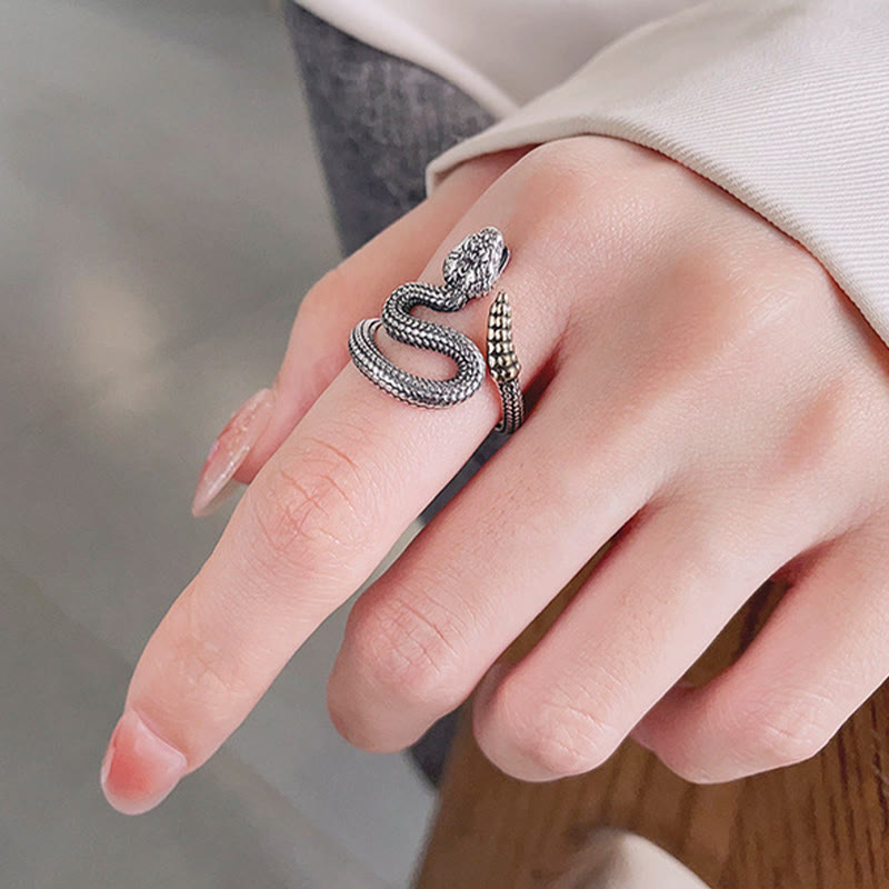 925 Sterling Silver Year Of The Snake Calm Balance Adjustable Ring