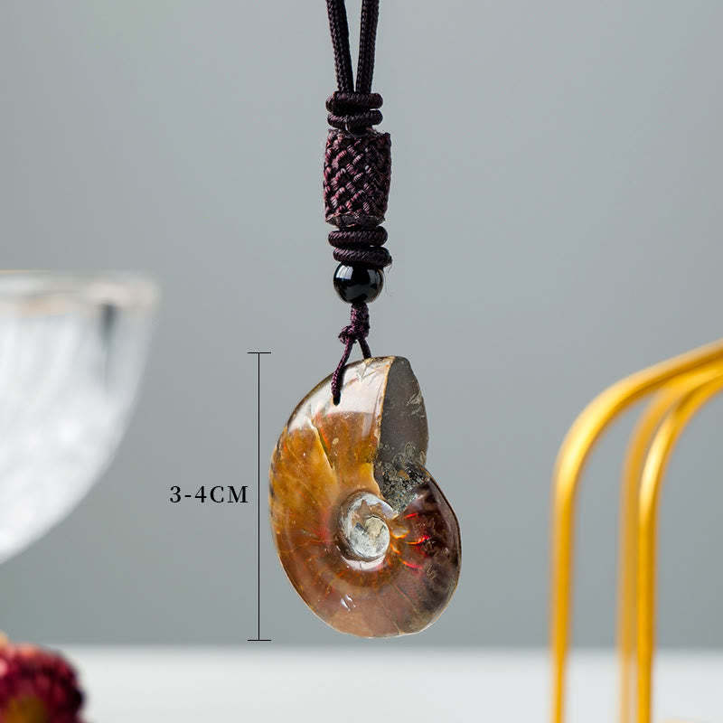 Natural Ammonite Fossil Snail Pattern Meditation Healing Necklace Pendant