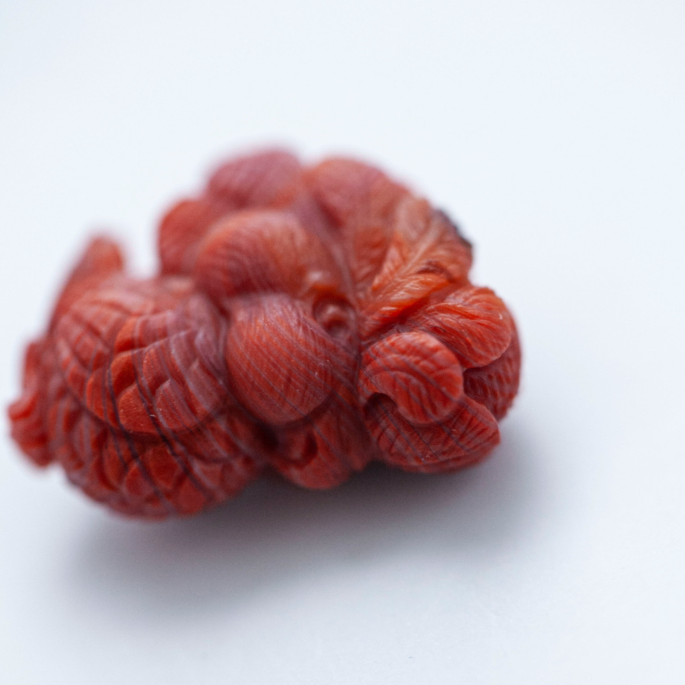 南红雕刻见我鹦鹉