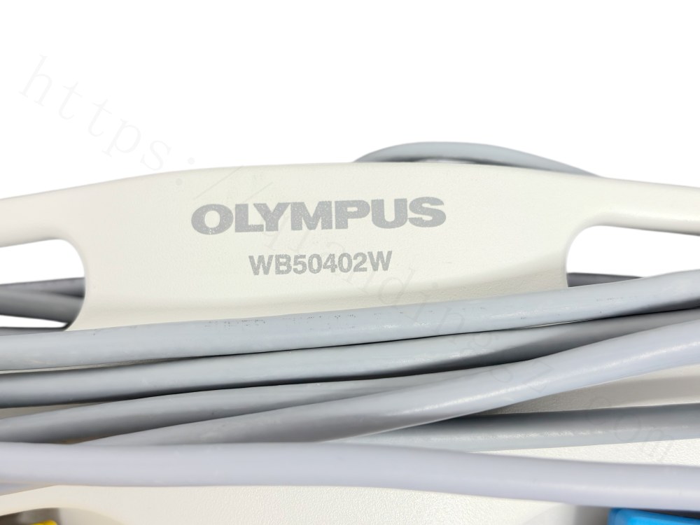 Olympus WB50402W MKF 2 2S/2S-MED GP26 Electrosurgical Dual Foot Switch Used