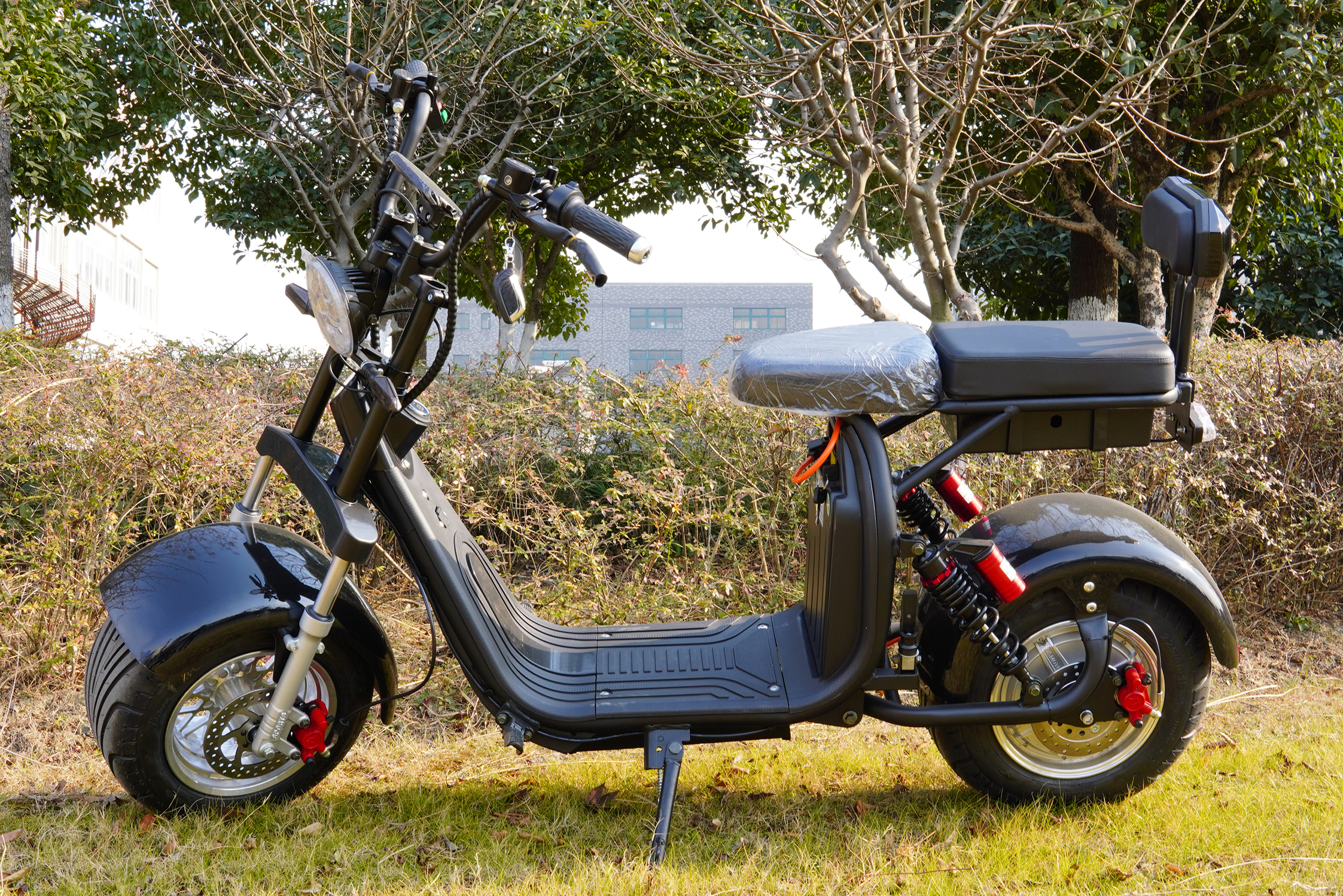 Best Price Hot Selling Citycoco 2000W High Speed Electric Scooters Warranty