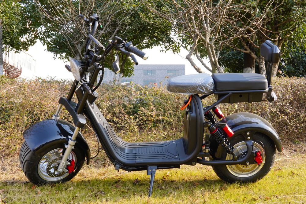 Best Price Hot Selling Citycoco 2000W High Speed Electric Scooters Warranty
