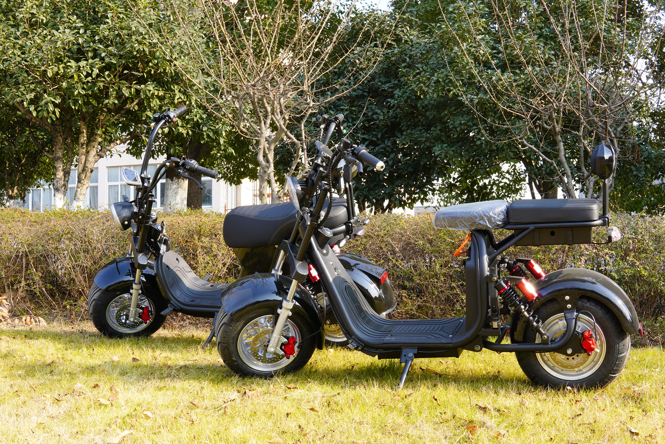 Best Price Hot Selling Citycoco 2000W High Speed Electric Scooters Warranty