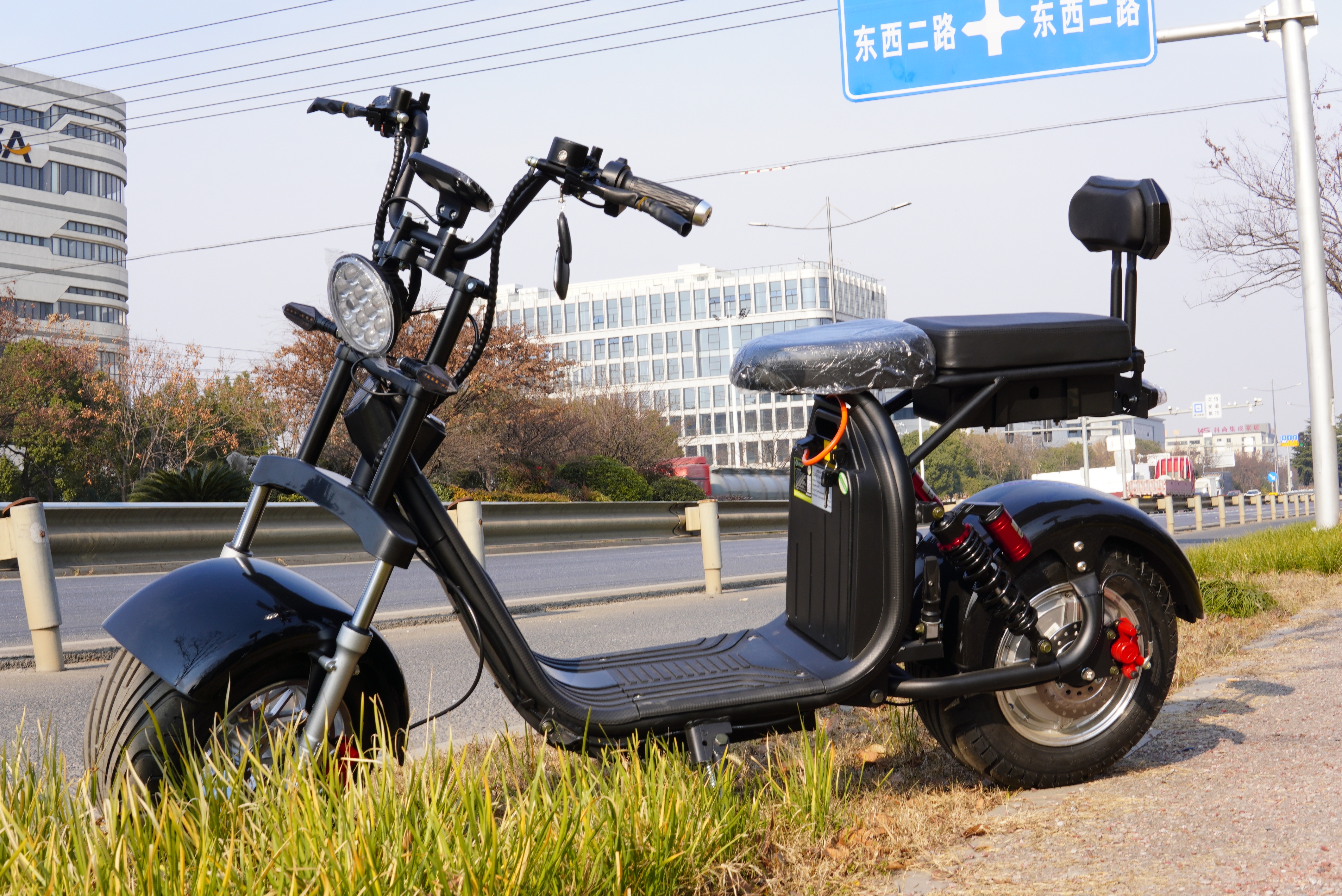 Best Price Hot Selling Citycoco 2000W High Speed Electric Scooters Warranty