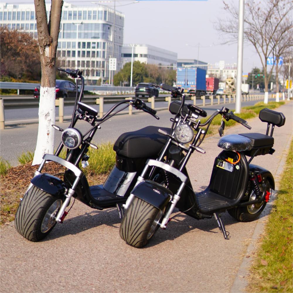 Best Price Hot Selling Citycoco 2000W High Speed Electric Scooters Warranty