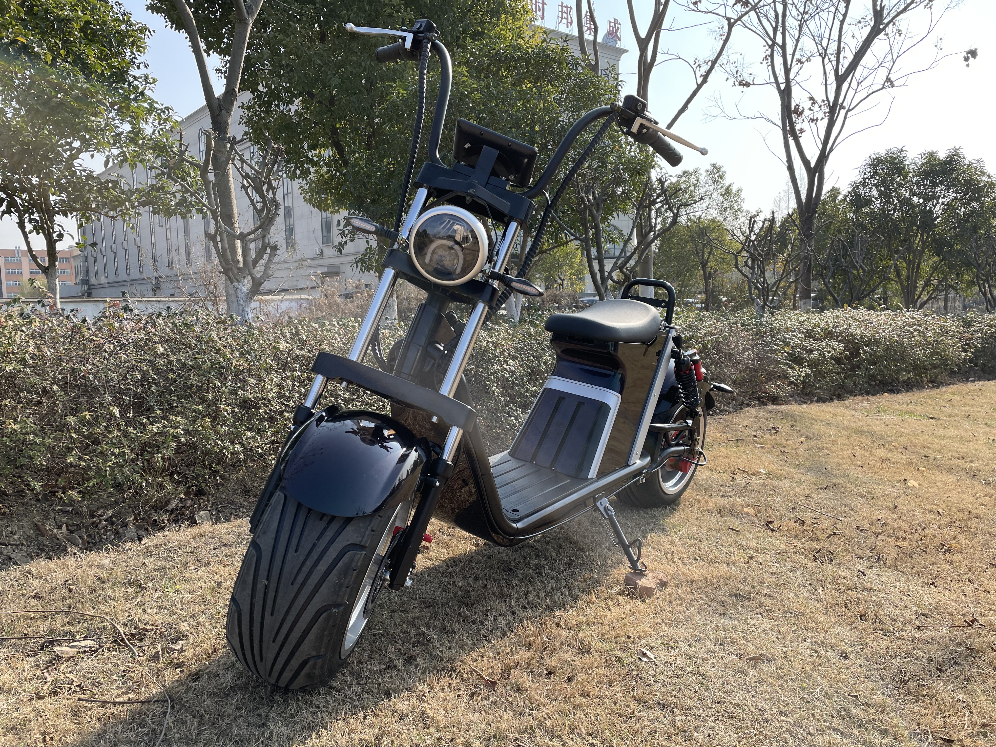 Electric Citycoco 3000w 45 Kmh European Warehouse High Speed Scooter CE COC Adult