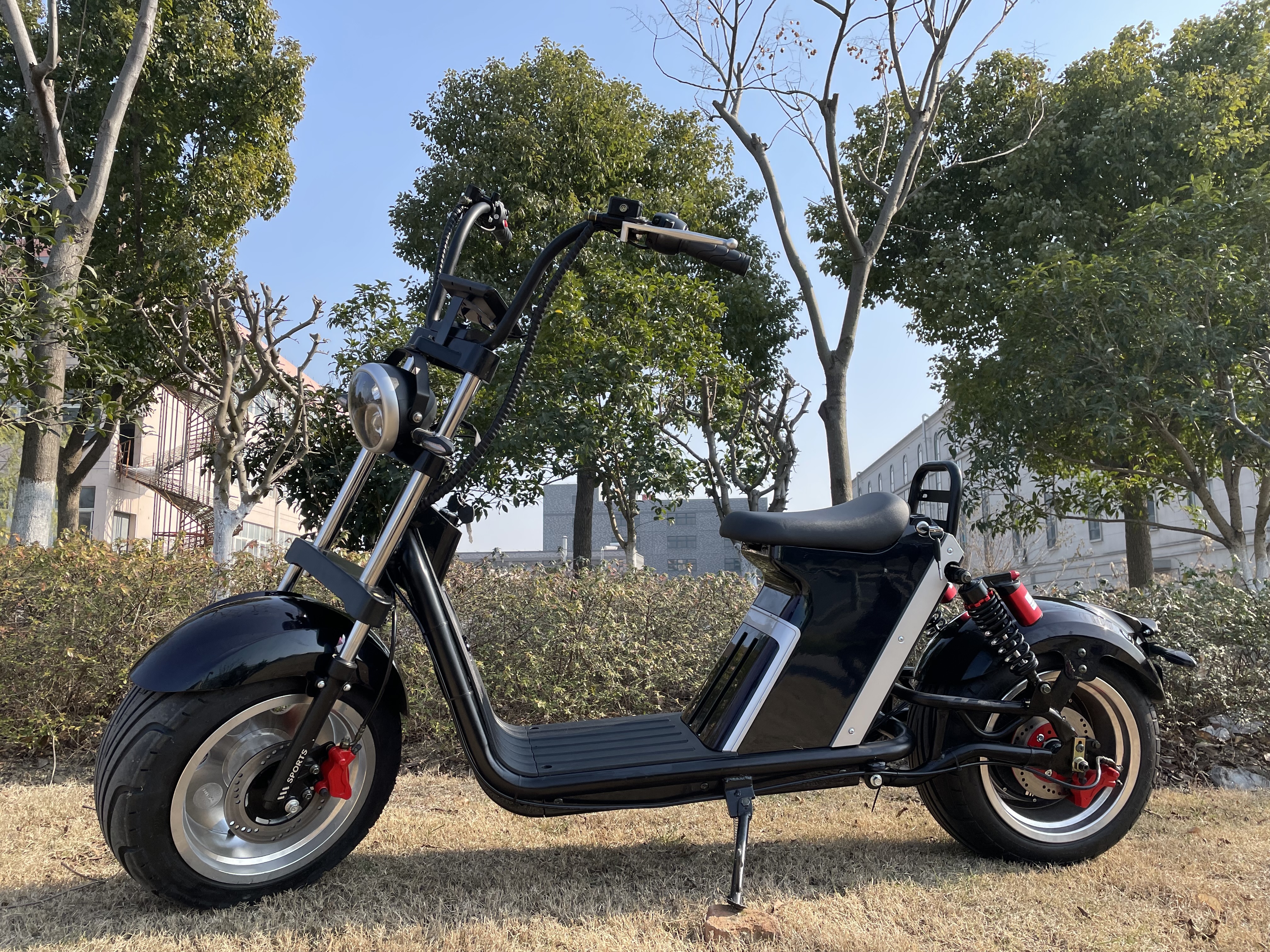 Electric Citycoco 3000w 45 Kmh European Warehouse High Speed Scooter CE COC Adult