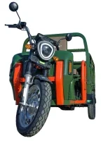 EEC COC Tuktuk 2000w 25km/h Cargo Trike Drop Shipping Electric Tricycle Truck with Door to Door