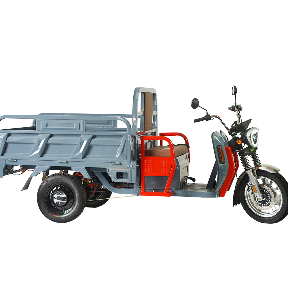 EEC COC Tuktuk 2000w 25km/h Cargo Trike Drop Shipping Electric Tricycle Truck with Door to Door