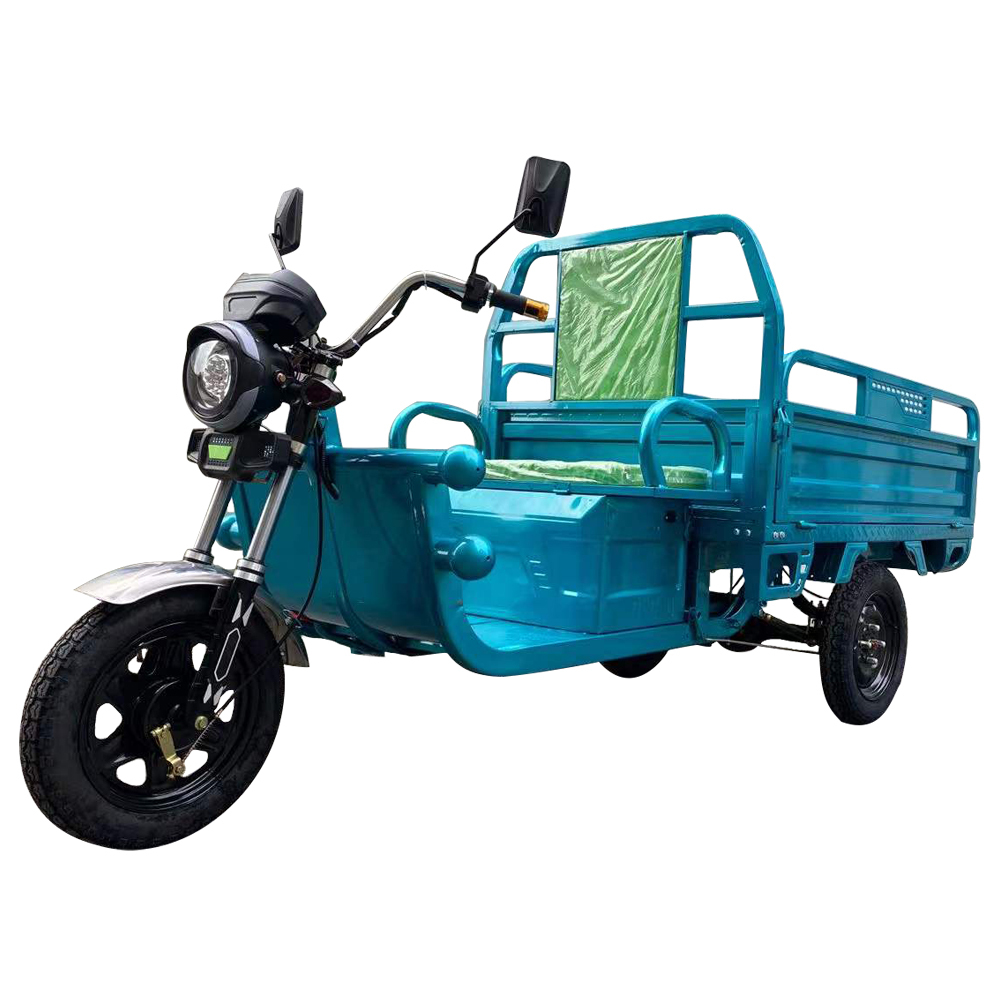 Chinese Cheaper 3 Wheel Electric Cargo Tricycle 1000W 800KG New Model for Adult
