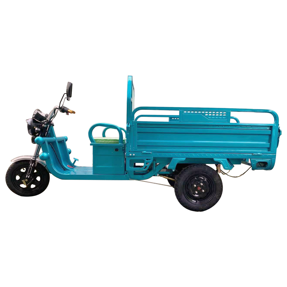 Chinese Cheaper 3 Wheel Electric Cargo Tricycle 1000W 800KG New Model for Adult