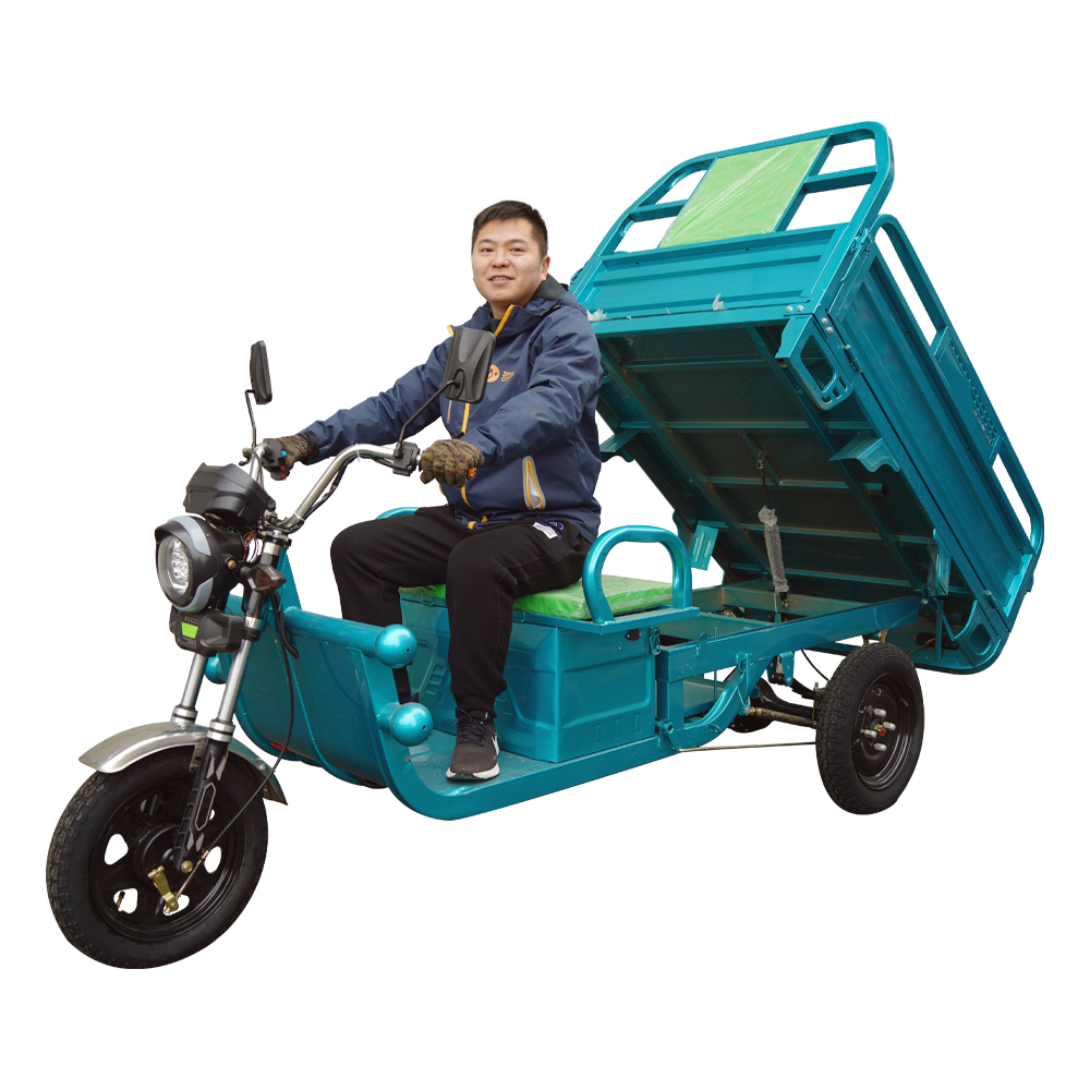 Chinese Cheaper 3 Wheel Electric Cargo Tricycle 1000W 800KG New Model for Adult