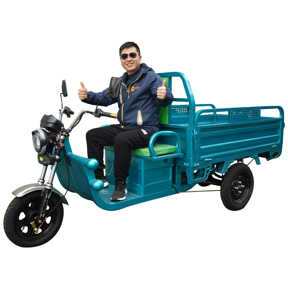 Chinese Cheaper 3 Wheel Electric Cargo Tricycle 1000W 800KG New Model for Adult