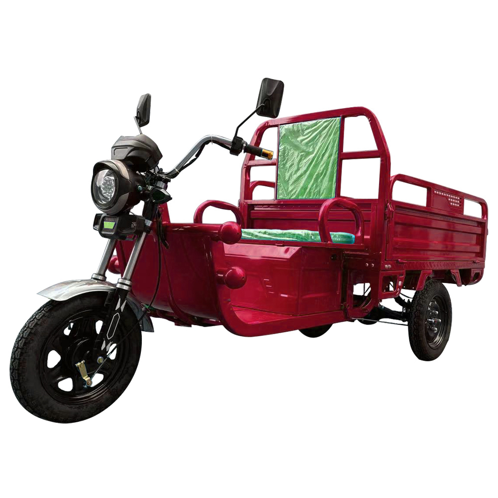 Chinese Cheaper 3 Wheel Electric Cargo Tricycle 1000W 800KG New Model for Adult