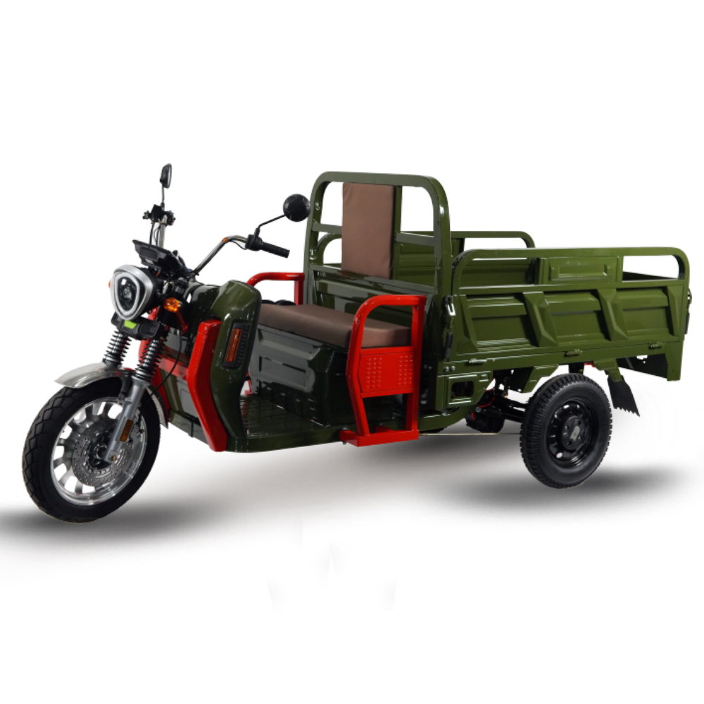 EEC COC Tuktuk 2000w 25km/h Cargo Trike Drop Shipping Electric Tricycle Truck with Door to Door
