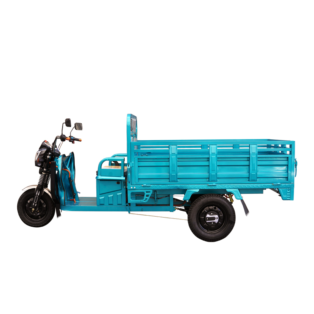 Hot Selling Electric Tricycles Cargo Truck Big Wheel Adults EEC COC DOT CE 1000W 25km/h 45km/h 60V 3 Wheel Electric Dumper