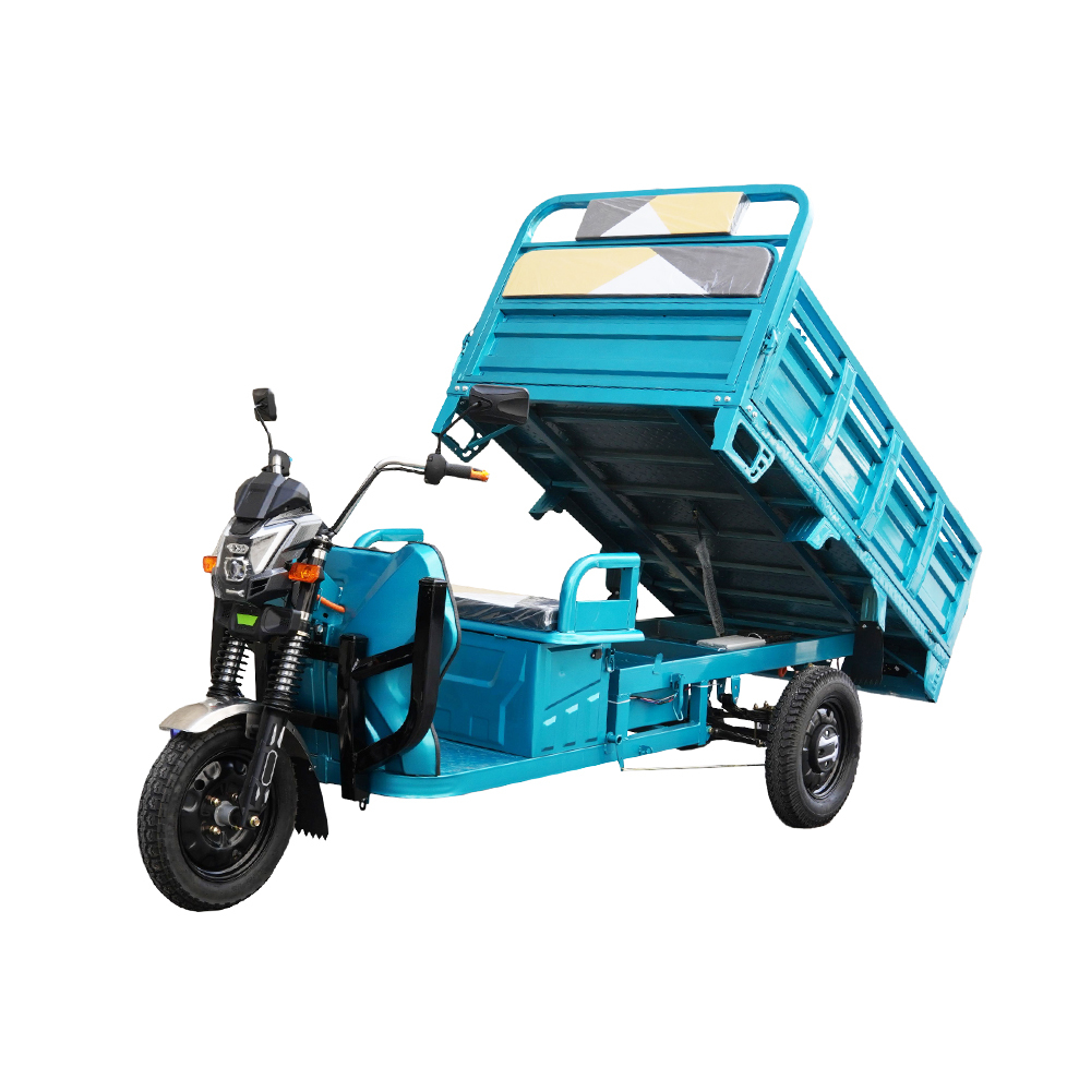 Hot Selling Electric Tricycles Cargo Truck Big Wheel Adults EEC COC DOT CE 1000W 25km/h 45km/h 60V 3 Wheel Electric Dumper