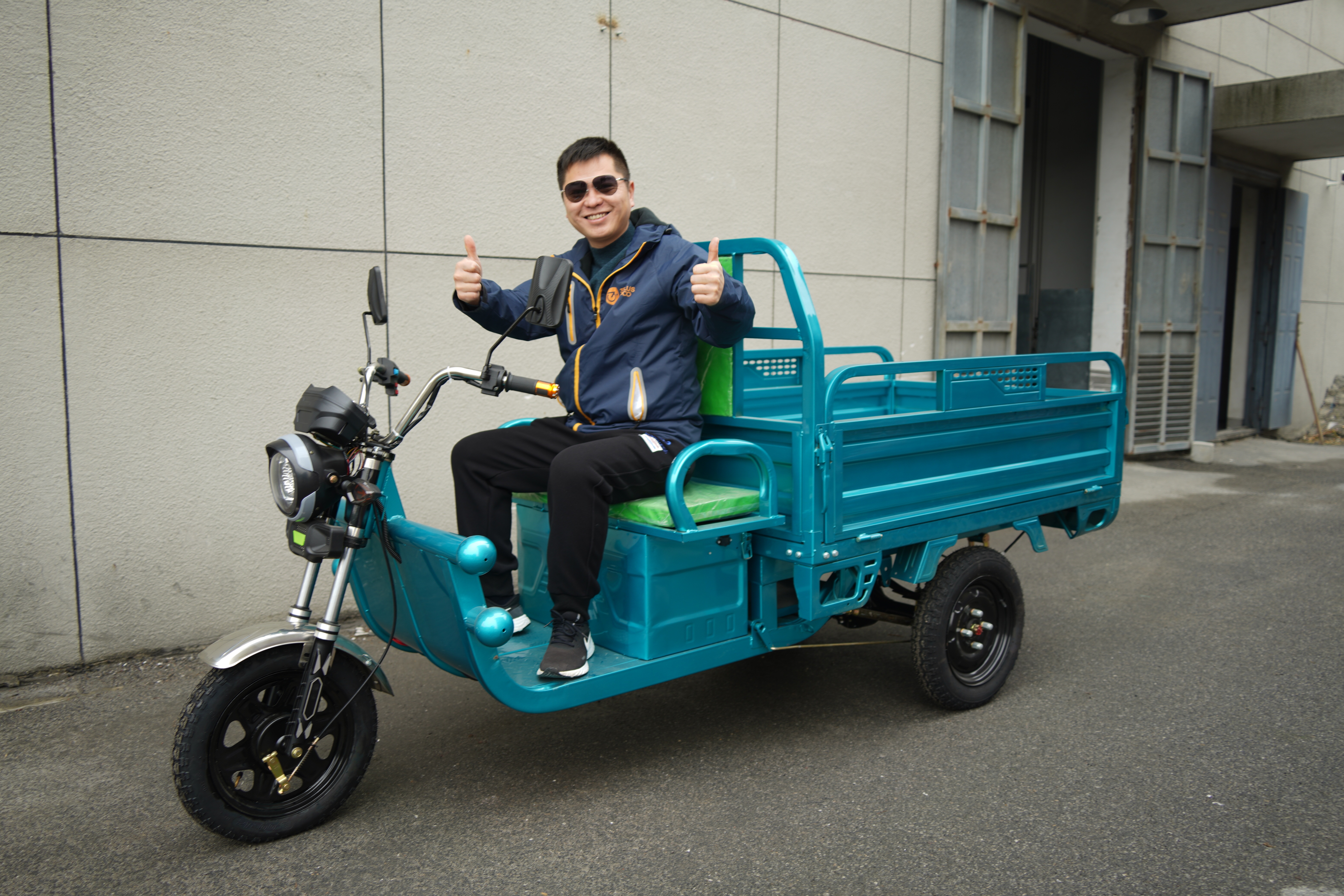 Chinese Cheaper 3 Wheel Electric Cargo Tricycle 1000W 800KG New Model for Adult