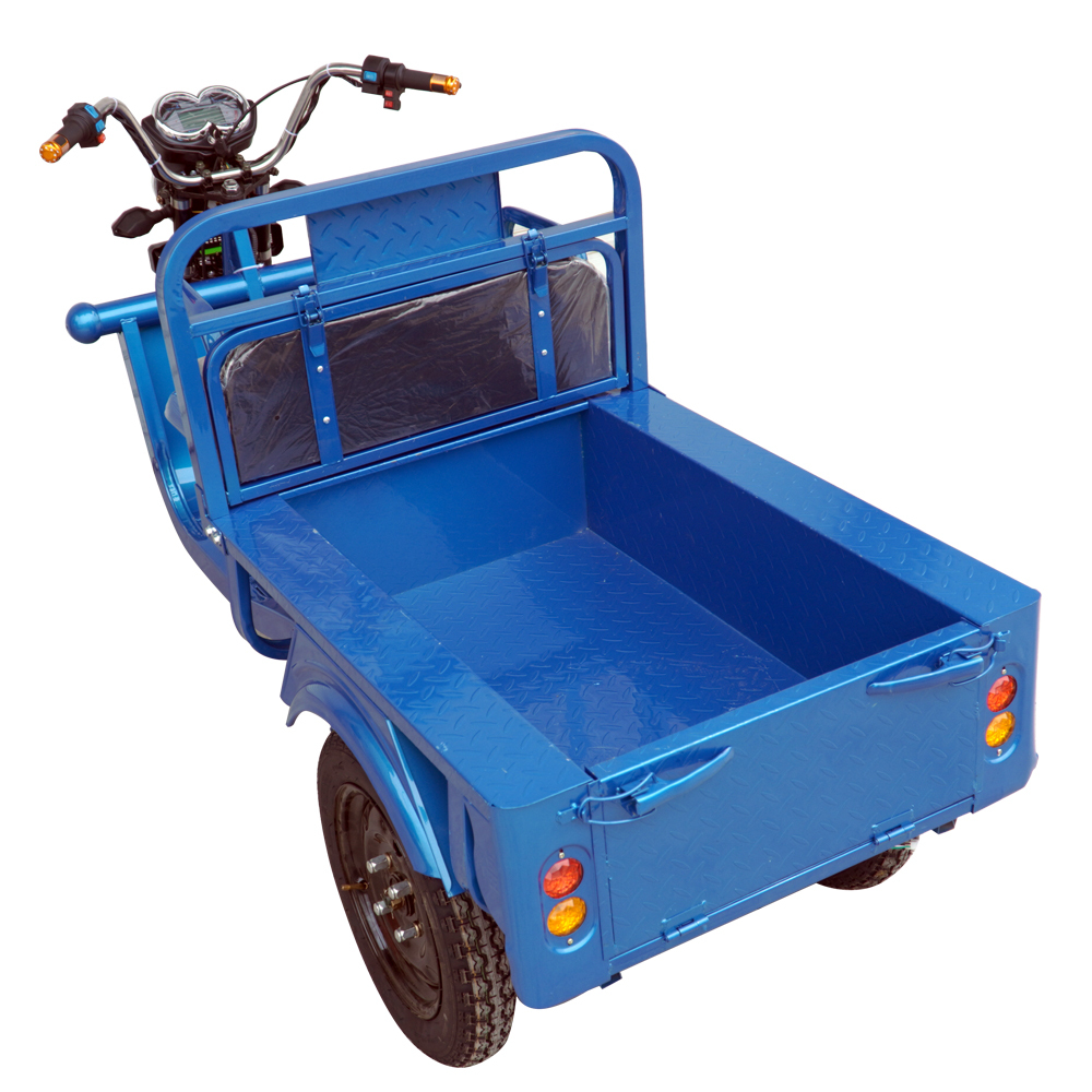 Elder Self Balance Electric Tricycles Bike Shopping Cargo Cart 2 Person 60V20ah 45ah Load 900-1000kgs