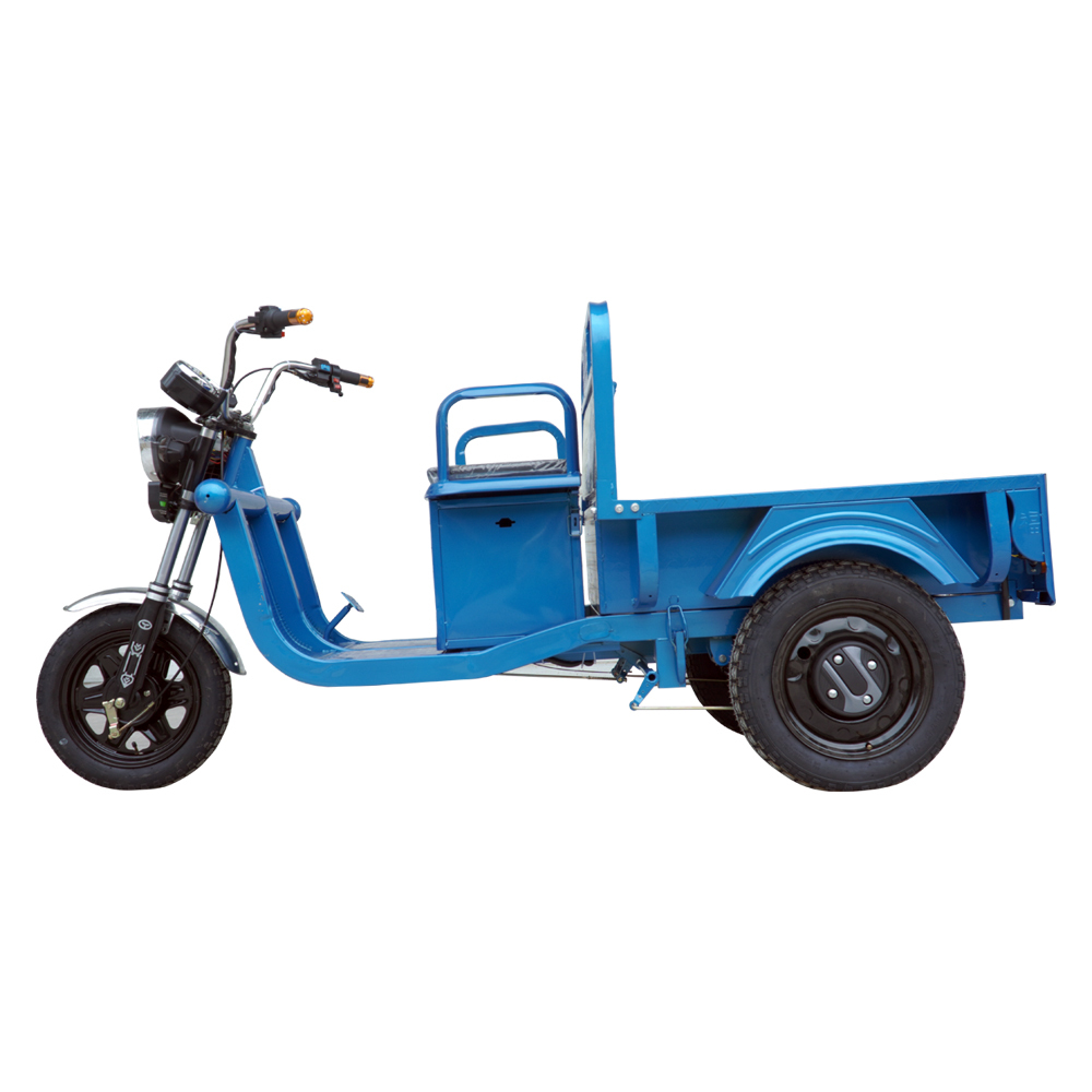 Elder Self Balance Electric Tricycles Bike Shopping Cargo Cart 2 Person 60V20ah 45ah Load 900-1000kgs
