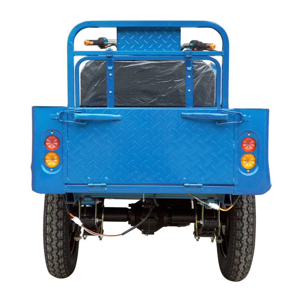 Elder Self Balance Electric Tricycles Bike Shopping Cargo Cart 2 Person 60V20ah 45ah Load 900-1000kgs