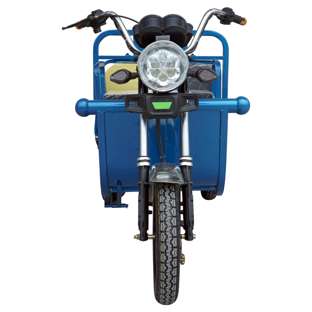 Elder Self Balance Electric Tricycles Bike Shopping Cargo Cart 2 Person 60V20ah 45ah Load 900-1000kgs
