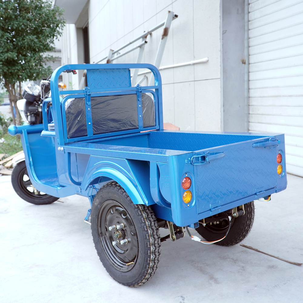 Elder Self Balance Electric Tricycles Bike Shopping Cargo Cart 2 Person 60V20ah 45ah Load 900-1000kgs