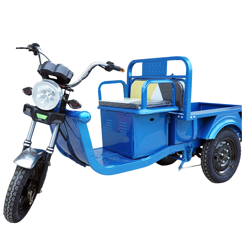 Elder Self Balance Electric Tricycles Bike Shopping Cargo Cart 2 Person 60V20ah 45ah Load 900-1000kgs