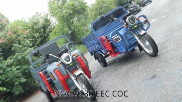 EEC COC Certified 3000W 3PLUSCOCO Electric Cargo Tricycle 1000kg Load 45kmh Quick Charge Lead-acid Battery
