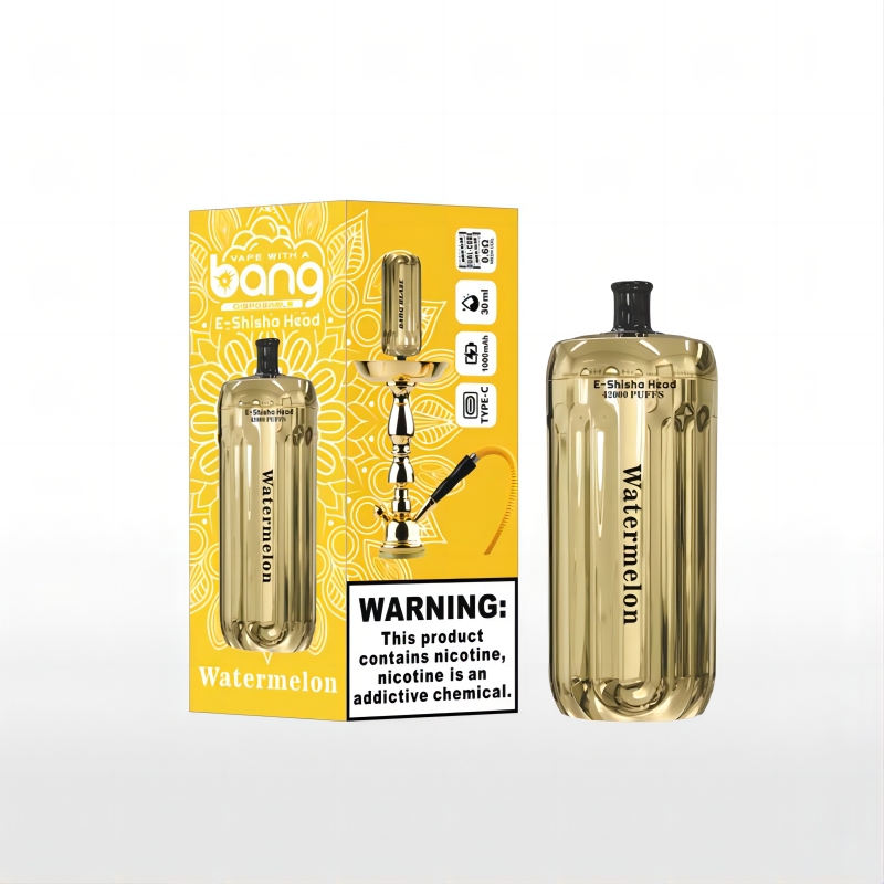 Bang blaze 42000 puffs 0%/2%/3%/5% Nicotine E-Shisha Head Rechargeable Disposable Vapes E cigs Wholesale