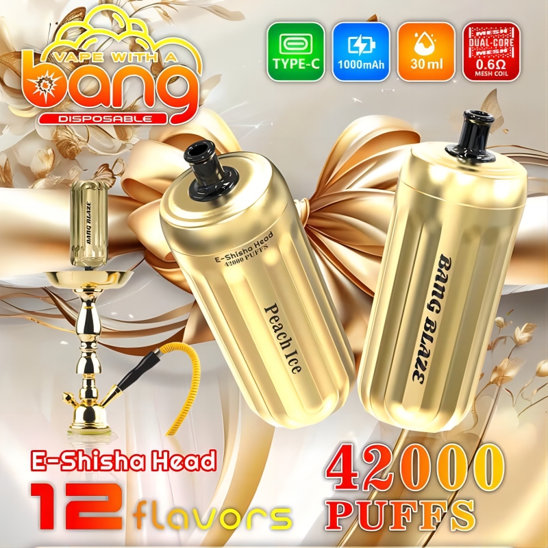 Bang blaze 42000 puffs 0%/2%/3%/5% Nicotine E-Shisha Head Rechargeable Disposable Vapes E cigs Wholesale