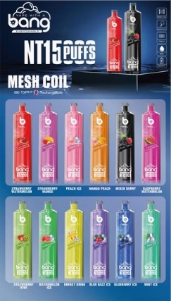Bang Shisha 15000 Puffs 0%/2%/3%/5% Nicotine MTL Rechargeable Disposable Vapes E cigs Wholesale
