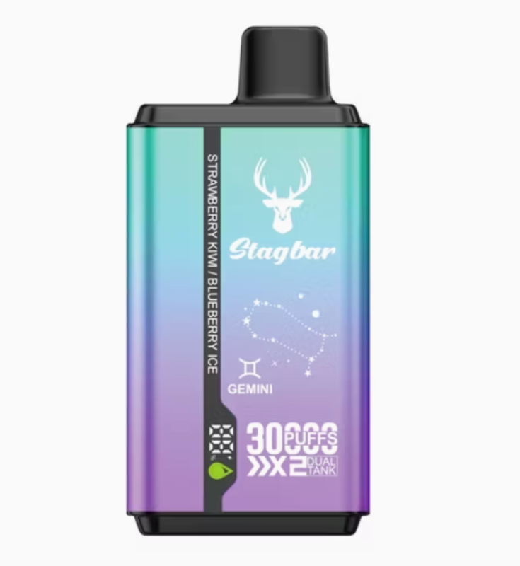 Stagbar Twins 30000 Puffs 2% 5% Nicotine Disposable Vape E cigs Wholesale
