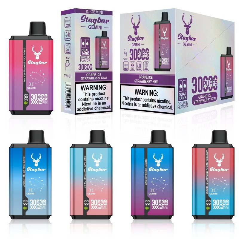 Stagbar Twins 30000 Puffs 2% 5% Nicotine Disposable Vape E cigs Wholesale