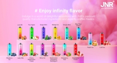 JNR Shisha max 22000 Puffs 2%/5% Nicotine Hookah Rechargeable Disposable Vapes E cigs Wholesale