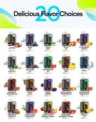 Vozol Vista 16000/20000puffs Disposable Vape E cigs 5% Nicotine Wholesale
