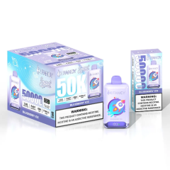 HIFANCY SPACE 50000 PUFFS 2% 5% Nicotine 650mah Battery Type C Rechargeable Disposable Vapes E cigs Wholesale