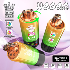 Bang leader 110k PUFFS 0-5% Nicotine Salt OEM/ODI Service Type-C Rechargeable Disposable Vapes E cigs Wholesale