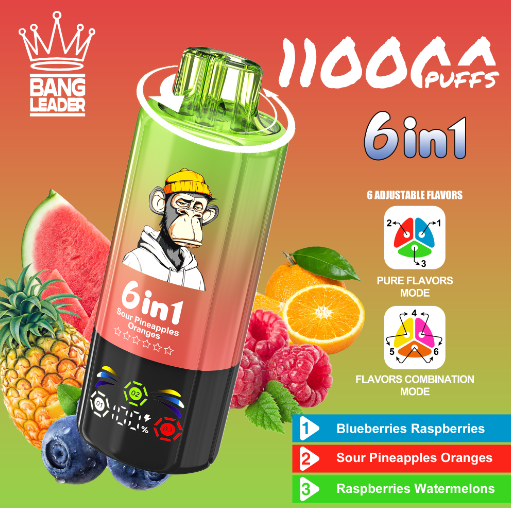 Bang leader 110k PUFFS 0-5% Nicotine Salt OEM/ODI Service Type-C Rechargeable Disposable Vapes E cigs Wholesale